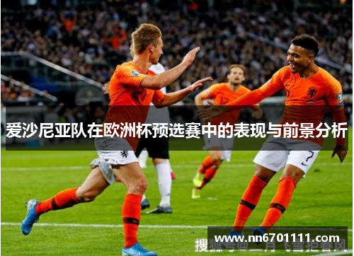 爱沙尼亚队在欧洲杯预选赛中的表现与前景分析