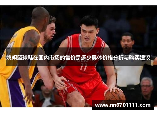 姚明篮球鞋在国内市场的售价是多少具体价格分析与购买建议