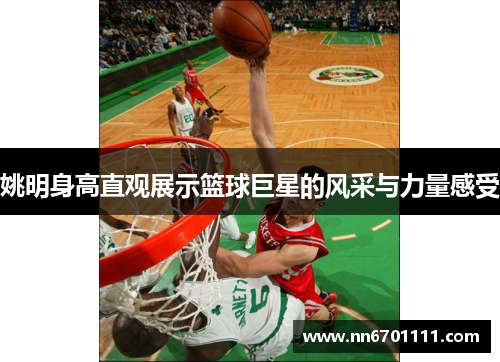 姚明身高直观展示篮球巨星的风采与力量感受